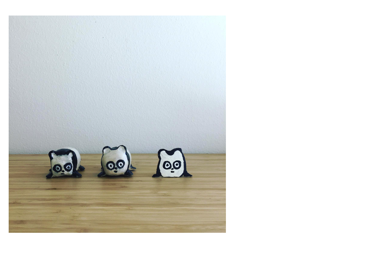 pandas